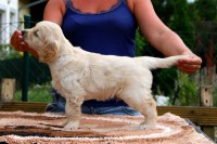 /album/fotogalerie/alex-postoj-jpg/